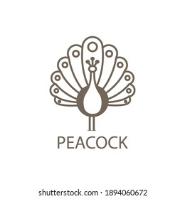 Peacock Illustration Outline Logo Design Template Stock Vector (Royalty ...