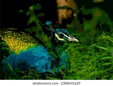 Peacock is an illustration used in graphics.
