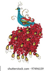 peacock illustration/ vector