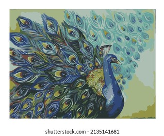 Peacock Illustration Watercolor Beautiful Bird 
