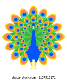 Peacock isolated. Beautiful bird with large tail. Vector illustration