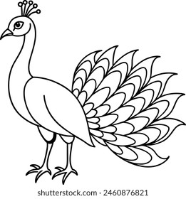 Peacock Line Art Vector Art, Icons, and Graphics for Free Download