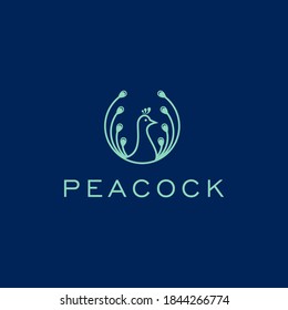 Peacock line logo design template