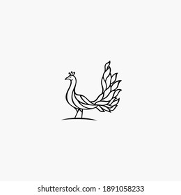 peacock line logo vector icon download