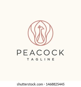 peacock line vector logo design