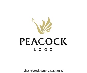 Peacock logo design. Simple modern logo vector. Flat style design.