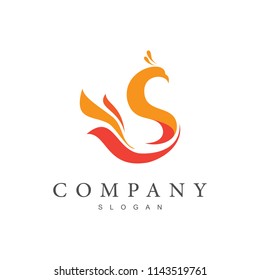 peacock logo design template