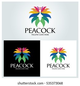Peacock logo design template ,Colorful logo design concept ,Vector illustration

