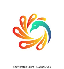 peacock logo design template, peacock logo with spinning tail