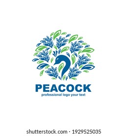 Peacock logo design template vector illustration 