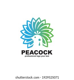 Peacock logo design template vector illustration 