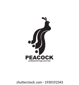 Peacock logo design template vector illustration 
