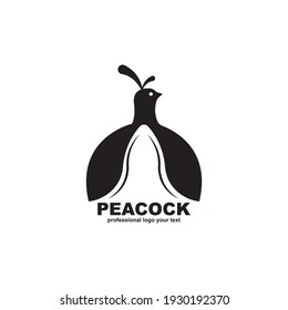 Peacock logo design template vector illustration 

