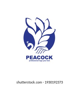 Peacock Logo Design Isolated Bird Logo Stock Vector (Royalty Free ...