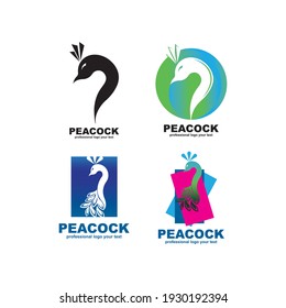 Ilustración vectorial del diseño del logotipo de Peacock 
