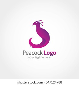 peacock logo  design template. vector illustration