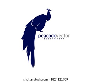 Peacock logo design vector template, Peacock bird illustration
