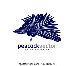 Plantilla vectorial de diseño de logotipo de pavo real, ilustración de pájaro de pavo real