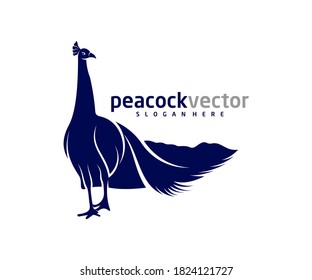 Plantilla vectorial de diseño de logotipo de pavo real, ilustración de pájaro de pavo real