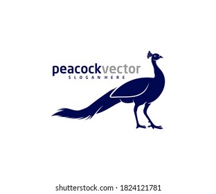 Peacock logo design vector template, Peacock bird illustration