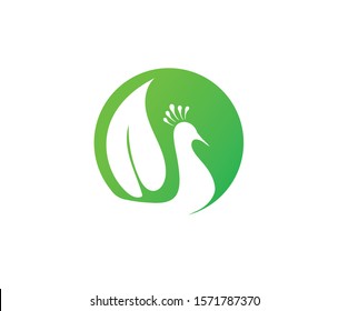 Peacock logo eco vector logo design.