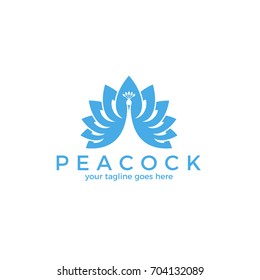 Peacock. Logo. Exotic bird. Creative peacock on white background