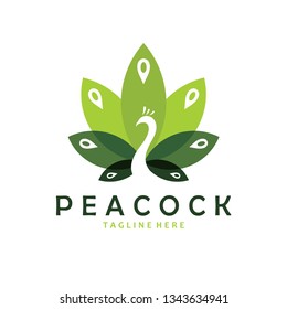 peacock logo icon