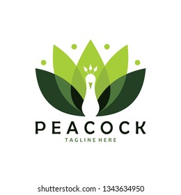 peacock logo icon
