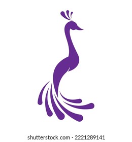 Peacock logo illustration vector flat design template