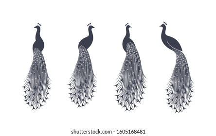 Peacock logo. Isolated peacock on white background