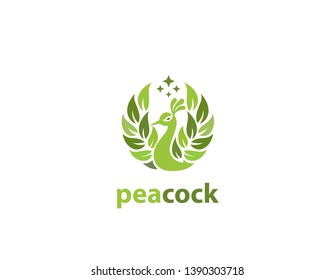 Peacock logo leaf illustration sign