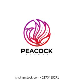 Peacock logo template, Animal logo with line style design