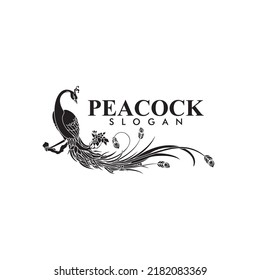 Peacock Logo Vector Best Art Design Stock Vector (Royalty Free ...