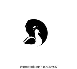 Peacock logo vector design illustration.
