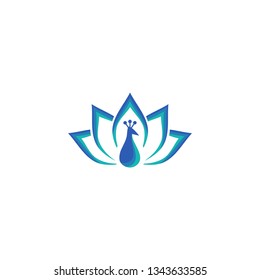 Peacock - Lotus Logo