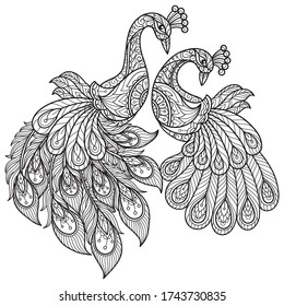 Peacock lovers.
Zentangle stylized cartoon isolated on white background. 
Hand drawn sketch illustration for adult coloring book. 
