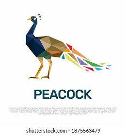 Peacock low poly polygonal geometric triangle logo icon design