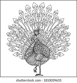 peacock mandala design for coloring page and t-shirt print