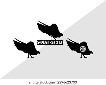 Peacock Monogram Vector Illustration Silhouette