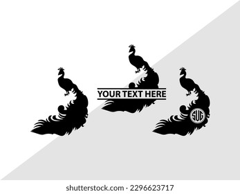 Peacock Monogram Vector Illustration Silhouette