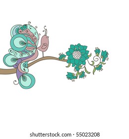 peacock on branch