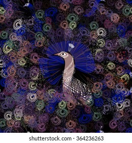 Peacock on a dark background of feathers. Vector. Seamless pattern.