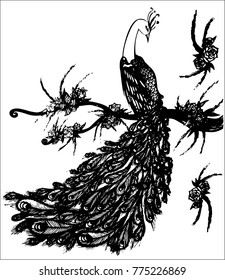 Peacock on the tree drawing