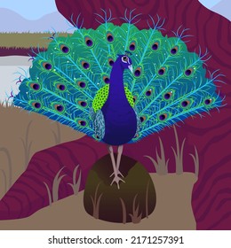 pavo real sobre una ilustración de un vector de árbol