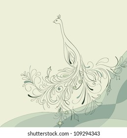 Peacock with open tail