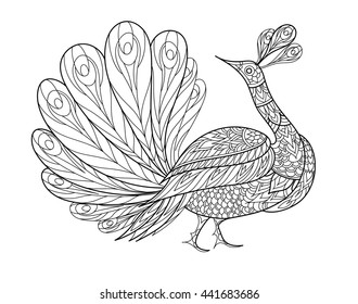 Peacock ornamental hand drawn. Fantasy bird. Vector illustration,
