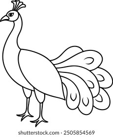 Contorno de pavo real o Ilustración vectorial de silueta de arte de línea con líneas suaves de fondo blanco.