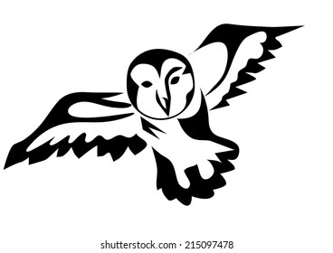 peacock owl