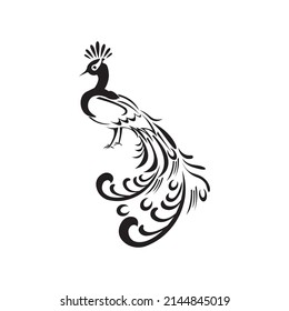 peacock pattern ornament design vector
