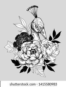 Peacock with peony flowers. Vector illustration.